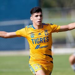 Fuerzas básicas de Tigres dio frutos a corto plazo