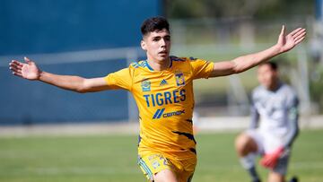 Fuerzas básicas de Tigres dio frutos a corto plazo