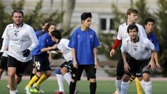 Esplendor en la hierba (artificial)