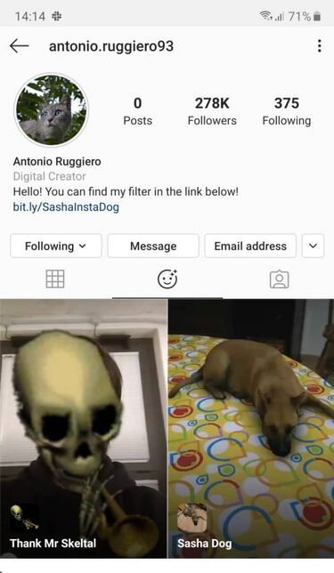 Cómo poner el filtro de Sasha Dog en WhatsApp