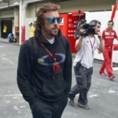 Fernando Alonso saca la cabeza en las casas de apuestas