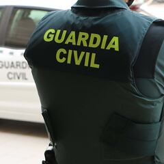 Un perro mata a un hombre de 78 años en Palencia de un mordisco en el cuello
