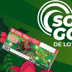 Resultados Sorteo Gordo de Navidad 2024: números ganadores y premios del sorteo