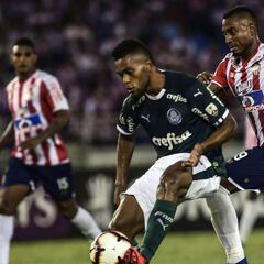 Junior cae ante Palmeiras en la fecha 1 de la Copa Libertadores