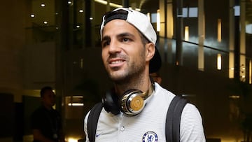 Cesc F&agrave;bregas.