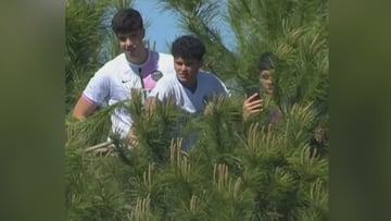 El video viral de los chicos que subieron a un árbol para ver el Barcelona vs Getafe