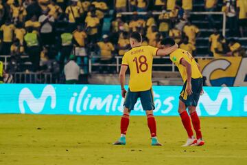 La Selección Colombia perdió 0-1 con la Selección Perú en Barranquilla por la decimoquinta jornada de las Eliminatorias Sudamericanas.