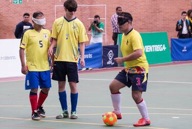 La otra Selección Colombia mundialista