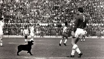 50 Grandes Postales que han dejado la Copa del Mundo