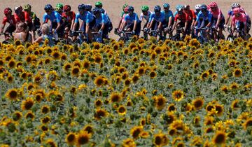 Elia Viviani del Deceuninck-Quick Step ganó la cuarta etapa del Tour de Francia 2019, mientras que su compañero Julian Alaphilippe se mantiene como líder de la clasificación general. Egan Bernal se mantiene como el mejor colombiano en la sexta casilla.