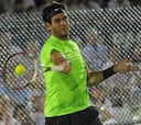 Del Potro será baja en Argentina frente a Alemania
