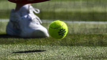 With the 2025 Wimbledon Championships in full swing, we can assume tens of thousands of balls have been used at the All England Club, but how many?