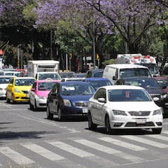 Estas son las sanciones por usar las portaplacas en CDMX: los conductores deben estar atentos en 2025
