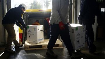 Curva y mapa de casos, contagios y muertes por región en Chile, hoy, sábado 8 de mayo