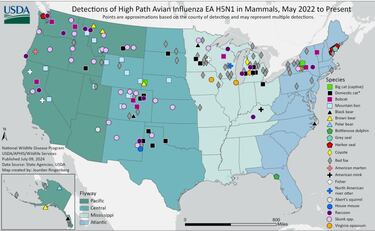 How did the three people presumed to be infected with bird flu in Colorado get infected?