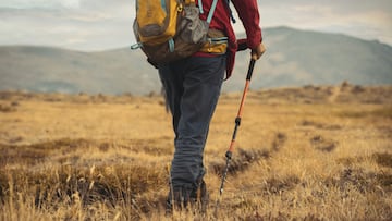 Estos son los 5 mejores bastones de trekking para hacer senderismo en este 2025 disponibles en Amazon.