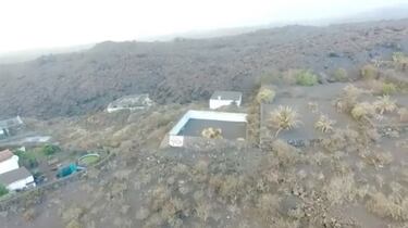 As¨ª fue el rescate an¨®nimo y con c¨¢mara t¨¦rmica de los podencos en La Palma