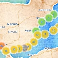 ¿Hay medusas en tu playa? La forma para comprobarlo antes de bañarte