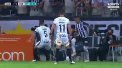 Hasta el fotógrafo no lo podía creer: el doble lujo en Brasil que revienta las redes