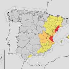 Alerta roja por lluvias: el 58% de los socios de Mestalla son de fuera de Valencia