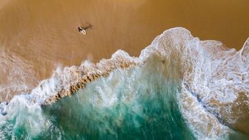 "The Wedge es un spot de Newport Beach (California), conocido por su ola mutante. Tanto surfistas como skimmers de todo el mundo viajan hasta aquí para dominarla". Mención en Sports.