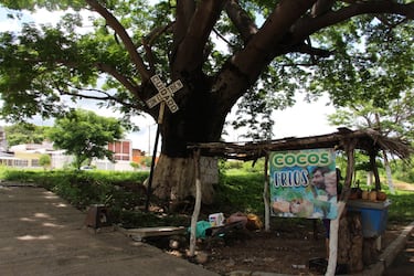 El fútbol alivia a los inmigrantes que pasaron por La Bestia
