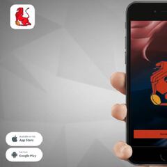 La FER lanza una aplicación para las selecciones de rugby