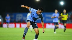 Coquimbo da otra sorpresa en el mercado: vuelve desde Argentina