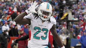 Dec 24, 2016; Orchard Park, NY, USA;  Miami Dolphins running back Jay Ajayi (23) celebrates a touchdown during the first half against the Buffalo Bills at New Era Field. Mandatory Credit: Timothy T. Ludwig-USA TODAY Sports