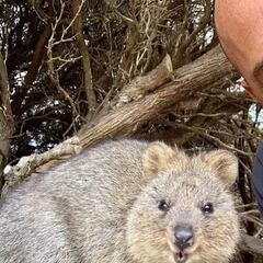 Australia advierte a Kelly Slater: "No entrarás si no te vacunas"