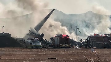 Investigators probe bird strike and landing gear failure after Jeju Air crash in South Korea kills 124 in deadliest air disaster in decades.