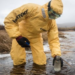Resuelven el misterio de los peces muertos y los surfistas intoxicados en Rusia
