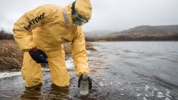 Un miembro de Greenpeace equipado con un traje de protección amarillo recoge una muestra de agua en Kamchatka (Rusia) tras el episodio de contaminación que ha matado miles de peces y ha intoxicado a surfistas.