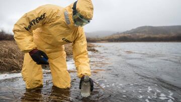 Un miembro de Greenpeace equipado con un traje de protecci&oacute;n amarillo recoge una muestra de agua en Kamchatka (Rusia) tras el episodio de contaminaci&oacute;n que ha matado miles de peces y ha intoxicado a surfistas. 