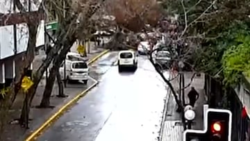 Caos en Providencia: un árbol cae sobre un auto y un semáforo asusta a todos en Metro Tobalaba