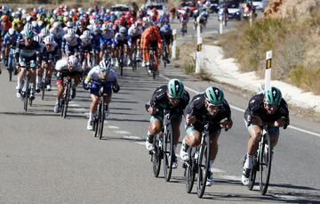 Tres ciclistas del Bora tiran del pelotón en la bajada. 