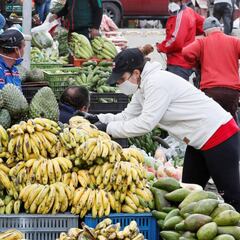 Ingreso solidario: ¿me puedo beneficiar si recibo ayudas por Adulto Mayor?