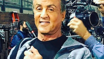 Sylvester Stallone se quedó con las tortugas de 'Rocky' y estas aún siguen vivas