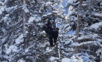 Un entrenador del equipo austriaco de esquí observa el entrenamiento de los suyos, subido a un árbol, durante la Copa del Mundo de descenso masculino en Beaver Creek, Colorado.