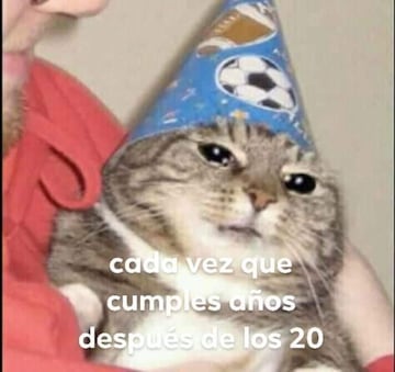 No te pierdas estos divertidos memes para conmemorar el 'Día Internacional del Gato' .