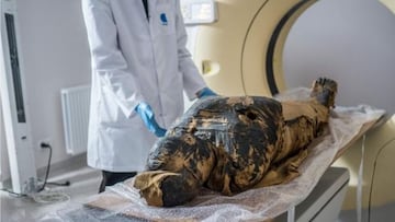 Hallan la primera momia egipcia embarazada