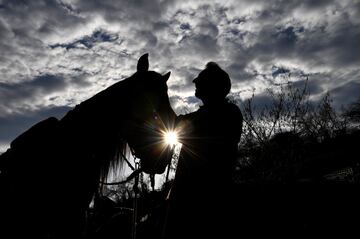 El ganadero Pablo Pato posa junto a un caballo en su establo en Llanuces, Asturias.