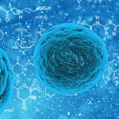 Qué son las superbacterias, cuáles son las más peligrosas y cuánta gente muere al año
