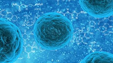 Qu¨¦ son las superbacterias, cu¨¢les son las m¨¢s peligrosas y cu¨¢nta gente muere al a?o