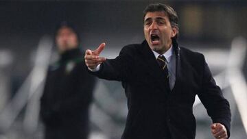 Fabio Pecchia da órdenes durante un partido de la Serie A.