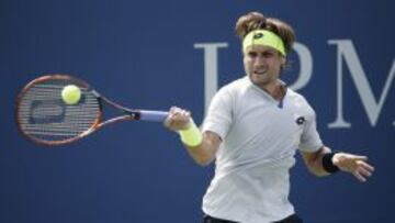David Ferrer.