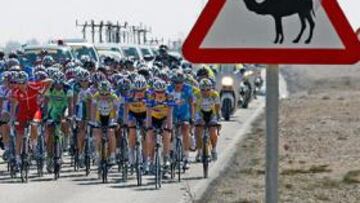 <b>¡PELIGRO, CAMELLOS! </b>El pelotón surca los desiertos de Qatar en esta atípica y exótica carrera.