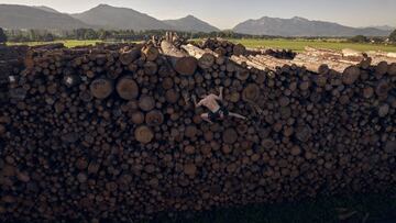Escalando una montaña... de troncos
