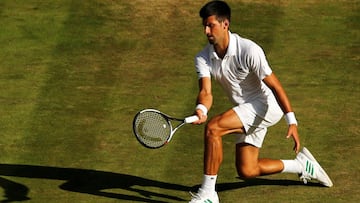 Djokovic pasa con facilidad y Querrey acaba con Tsonga y