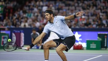 Del Potro vence a Sugita y está en semifinales en Estocolmo